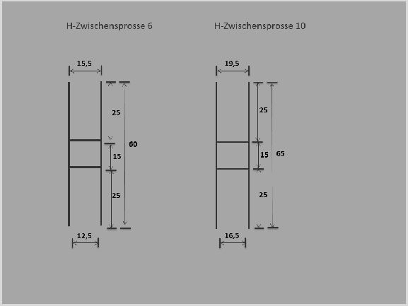 Alu-H-Sprosse 6 bzw. 10 